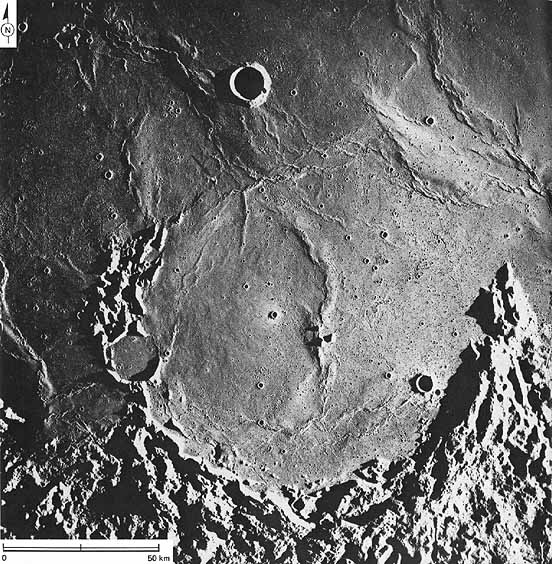 Figure 182 this arcuate structure is Letronne